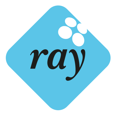 Customers ray logo - Customers